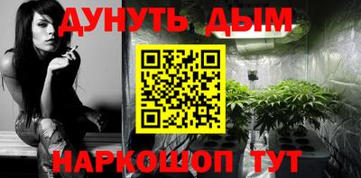 гидра Славгород